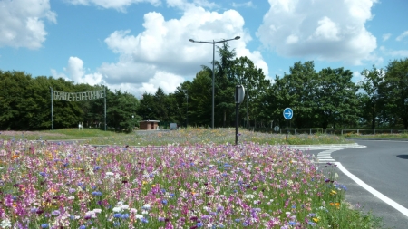 Embellissement de l’espace urbain