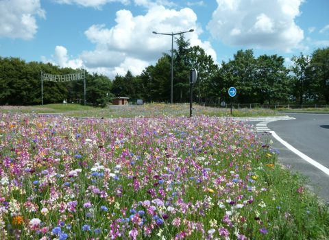 Embellissement de l’espace urbain