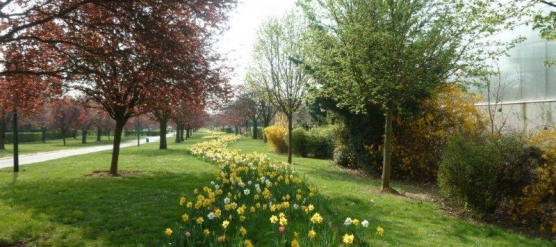 50% de Crédit d’impôt pour l’entretien de votre Jardin, c’est possible !