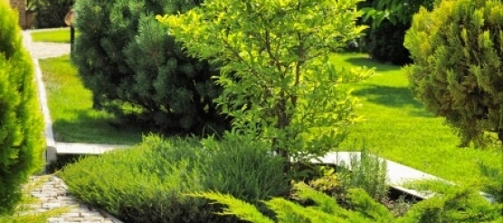 Paysagiste à Villebon : PROJARDINS, savoir-faire et satisfaction client