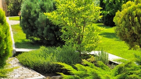 Paysagiste à Villebon : PROJARDINS, savoir-faire et satisfaction client
