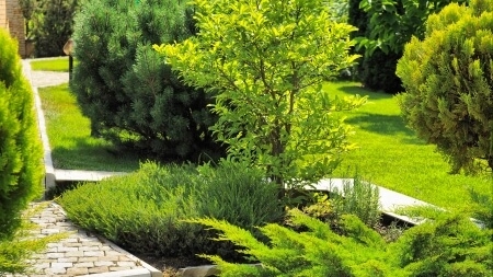 Entretien de jardins et d&rsquo;allées
