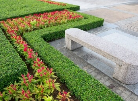 Entretien de haies et fleurs