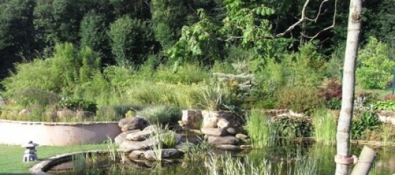 PROJARDINS, des professionnels pour l’entretien de jardin en Essonne
