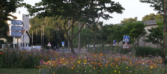 Paysagistes Essonne : PROJARDINS, au service des copropriétés