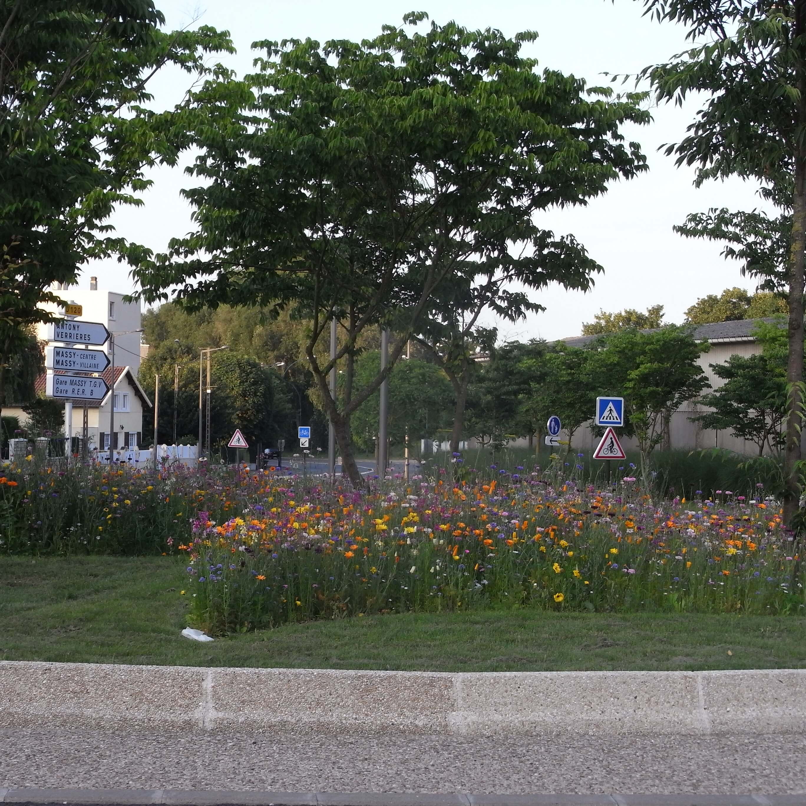 Paysagistes Essonne : PROJARDINS, au service des copropriétés